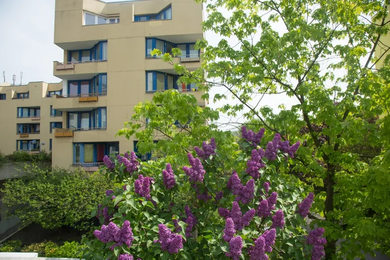 3-Zimmer Wohnung in Berlin-Neukölln — photo 1